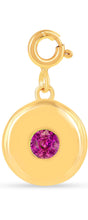 Load image into Gallery viewer, Birthstone Charm Circle Pendant