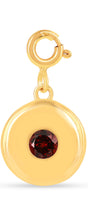 Load image into Gallery viewer, Birthstone Charm Circle Pendant